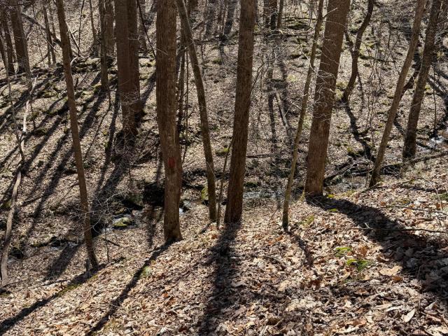 Land for sale in Coeburn, Wise County