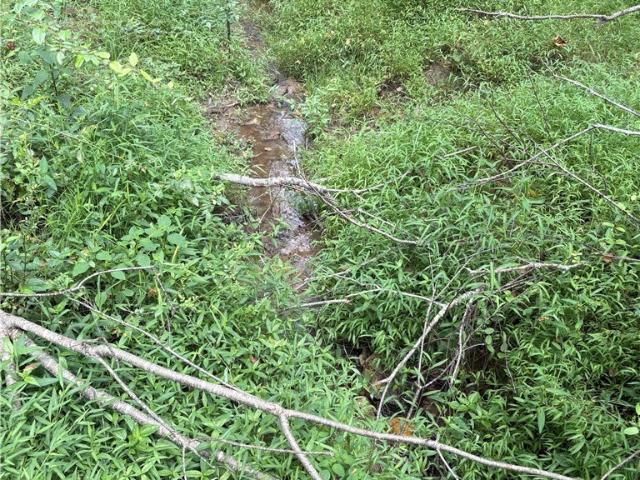Land for sale in Virginia