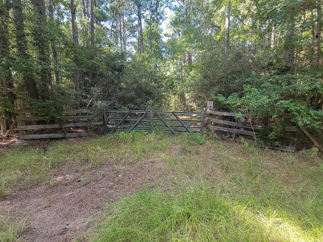 Land for sale in Zavalla, Texas
