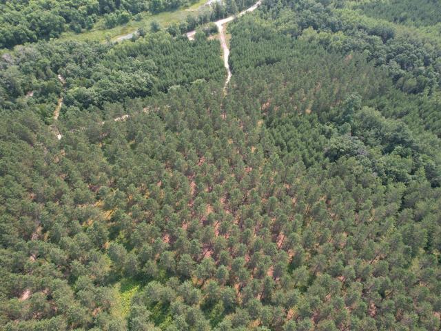 Land for sale in Wadena, Minnesota