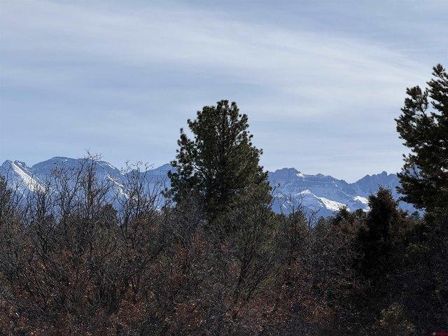 Land for sale in Ridgway, Colorado