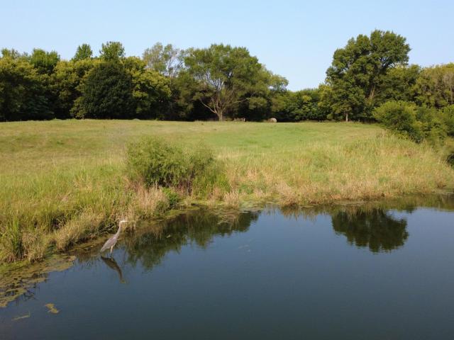 Land for sale in Redwood, Minnesota