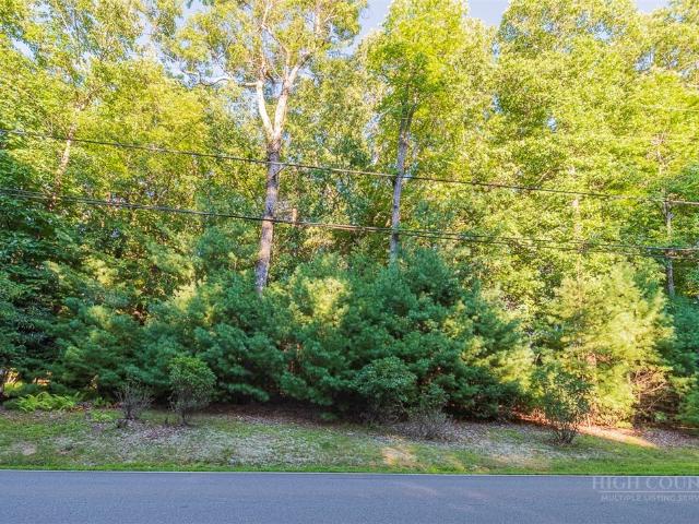 Land for sale in Alleghany, North Carolina