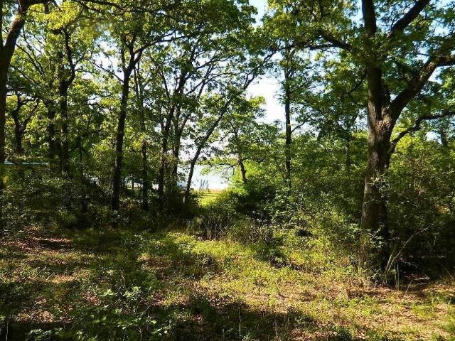Land for sale in Jewett, Leon County
