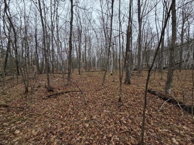 Land for sale in Longville, Minnesota