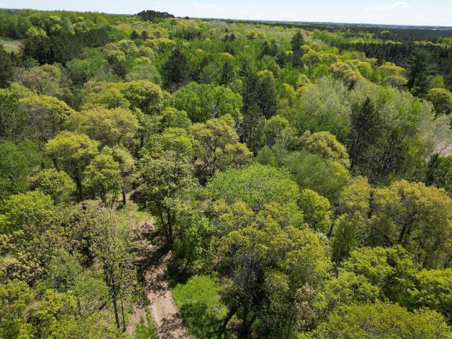 Land for sale in Hubbard, Minnesota