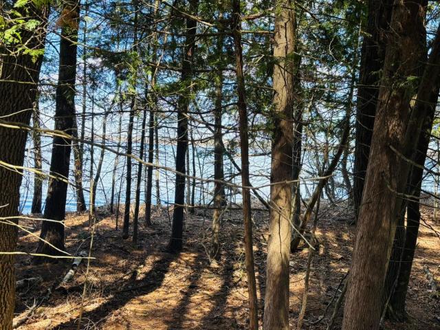 Land for sale in Hubbard, Minnesota
