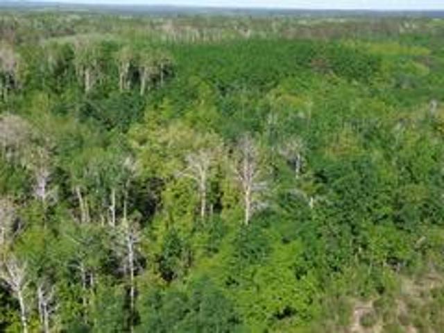 Land for sale in Hubbard, Minnesota