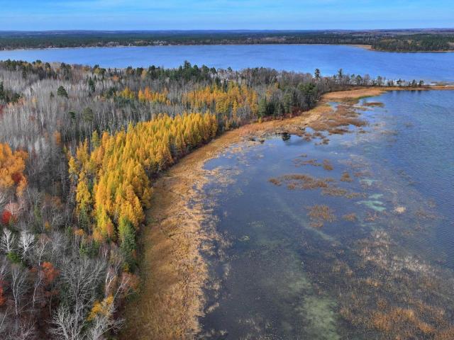 Land for sale in Hubbard, Minnesota