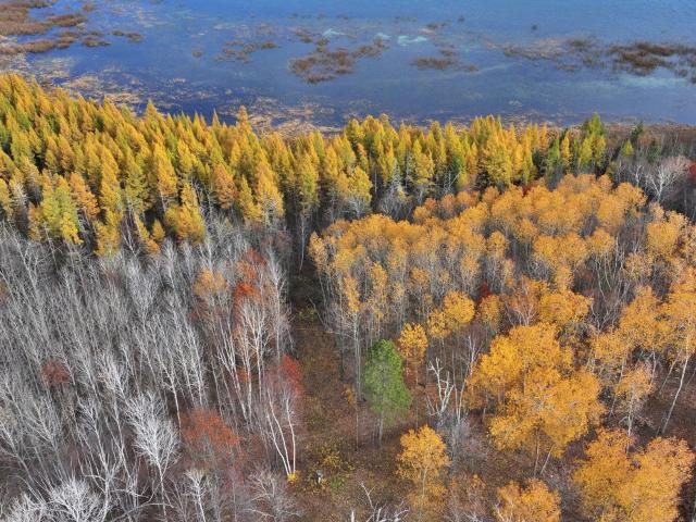 Land for sale in Hubbard, Minnesota