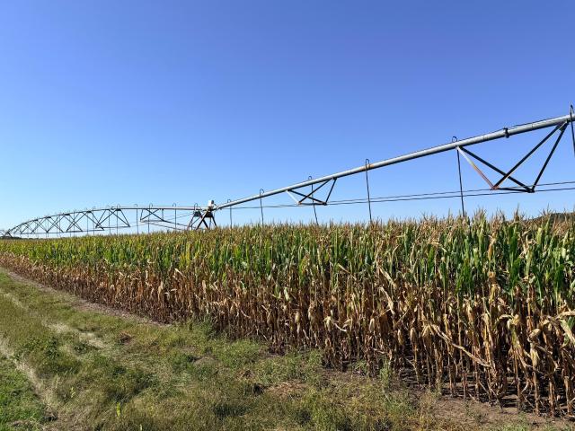 Land for sale in Browerville, Todd County