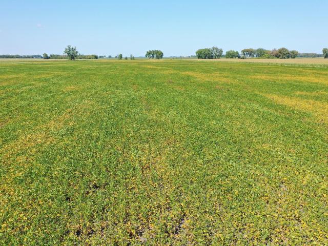 Land for sale in Minnesota