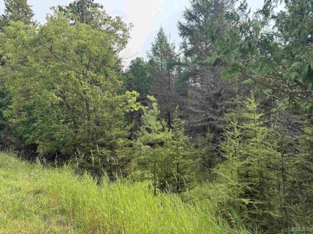 Land for sale in Rapid River, Michigan