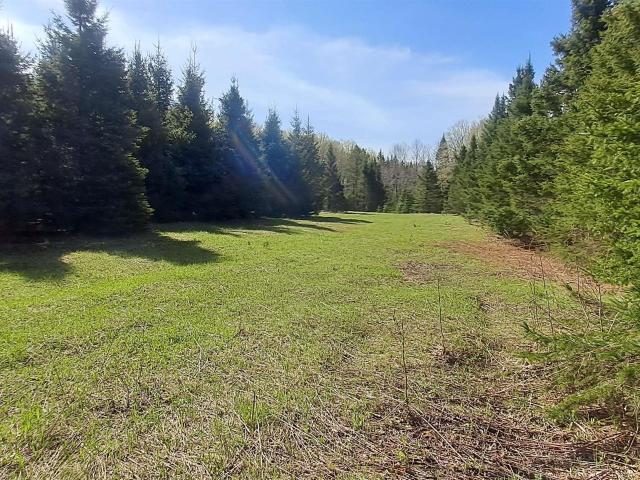 Land for sale in Maple Ridge Township, Delta County