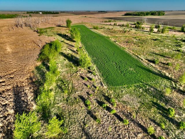 Land for sale in Madison, Minnesota