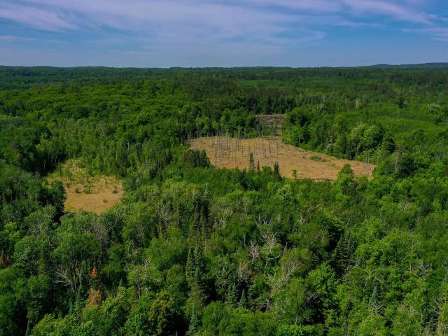 Land for sale in Becker, Minnesota