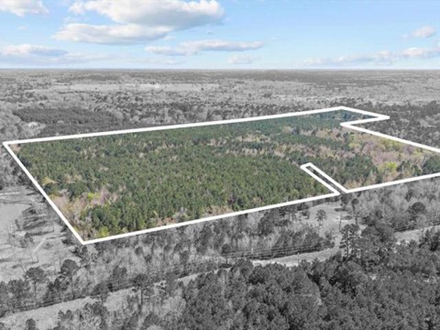 Land for sale in Kilgore, Texas