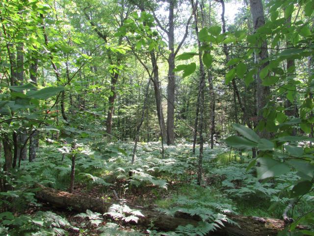 Land for sale in Carlton, Minnesota