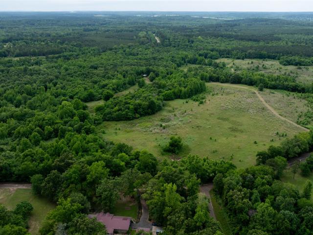 Land for sale in Avinger, Texas