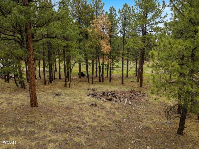 Land for sale in Alpine, Arizona