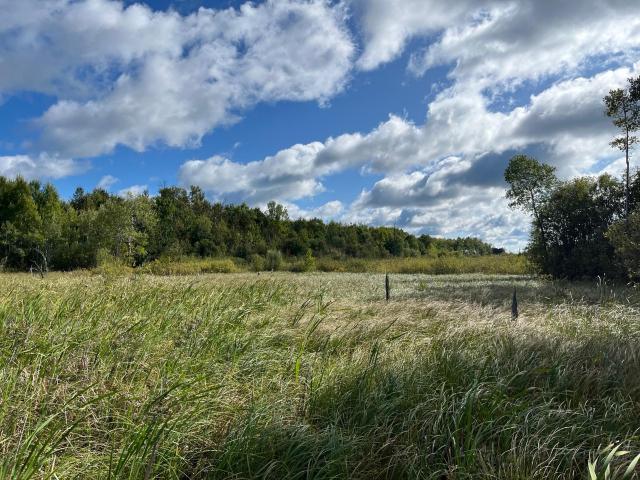 Land for sale in Big Falls, Minnesota