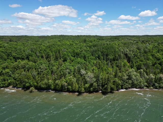 Land for sale in Longville, Minnesota
