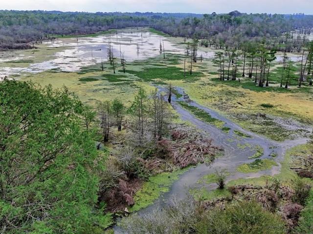 Land for sale in Panola, Texas