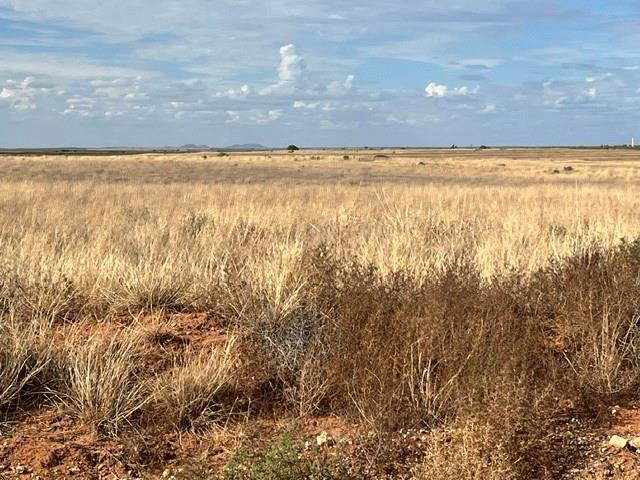 Land for sale in Roby, Fisher County
