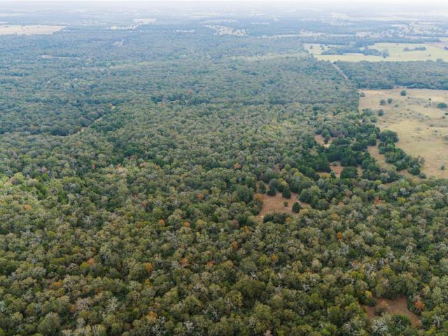 Farm for sale in Lexington, Texas