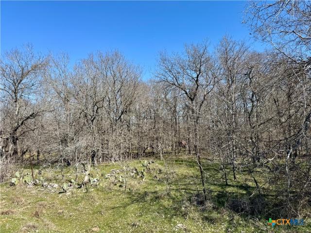 Land for sale in Milam, Texas
