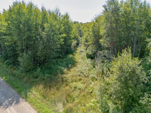 Land for sale in Carpenter Township, Itasca County