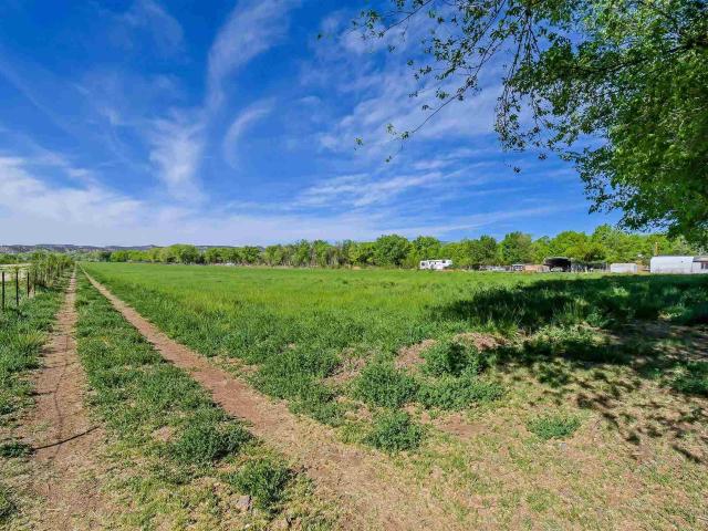 Land for sale in New Mexico