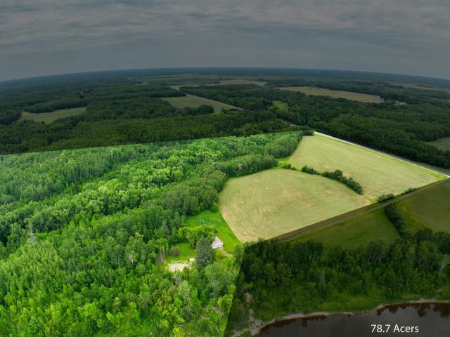 Land for sale in Littlefork, Minnesota
