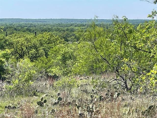 Land for sale in Cisco, Texas