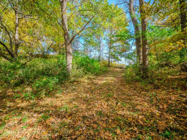 Land for sale in Grey Eagle, Todd County