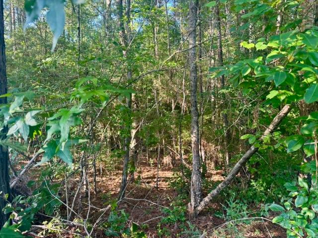Land for sale in Newton, Texas