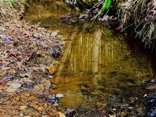 Land for sale in Shelby, Texas