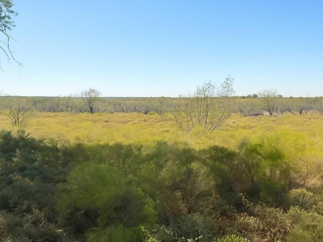 Land for sale in Milam, Texas