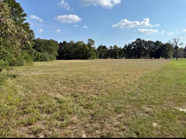 Land for sale in Centerville, Leon County