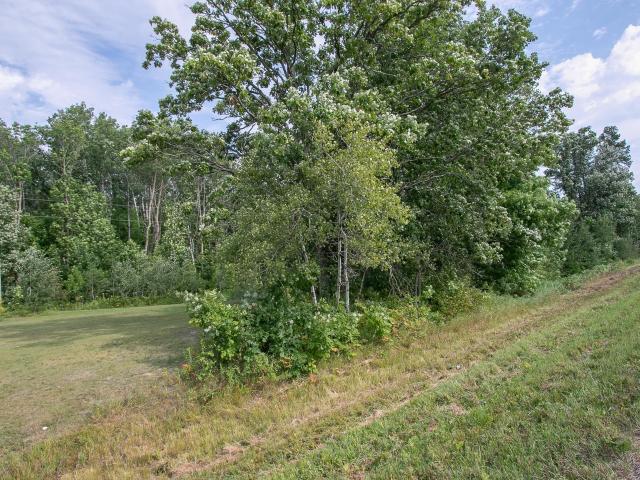 Land for sale in Minnesota