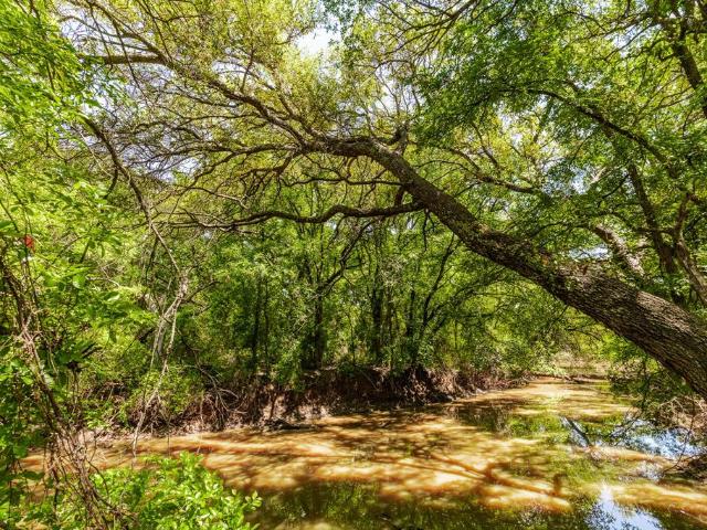 Land for sale in Coleman, Texas