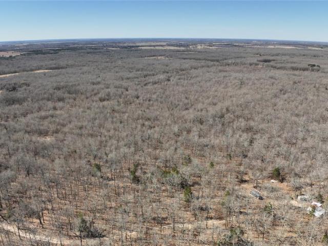 Land for sale in Detroit, Texas