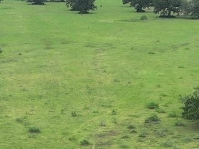 Land for sale in Ledbetter, Fayette County