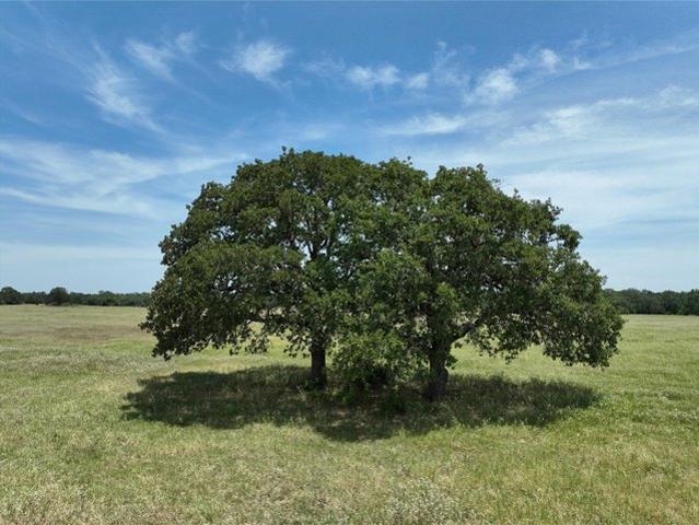Farm for sale in Ledbetter, Texas