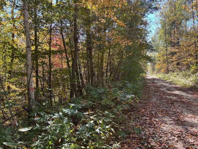 Land for sale in Hubbard, Minnesota