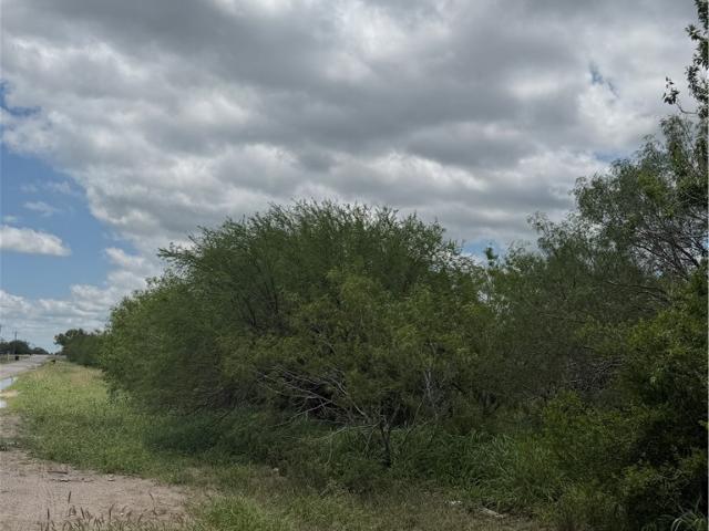 Farm for sale in Alice, Texas
