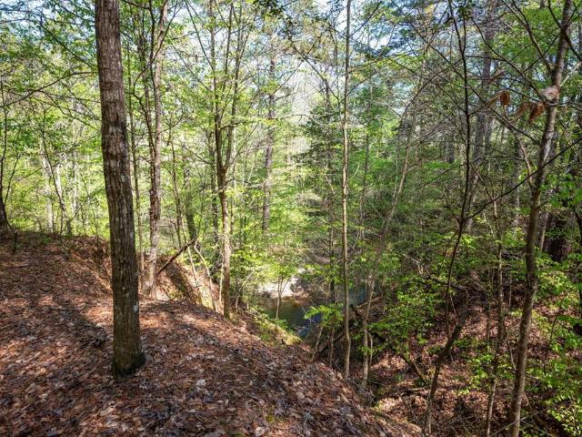 Land for sale in Jasper