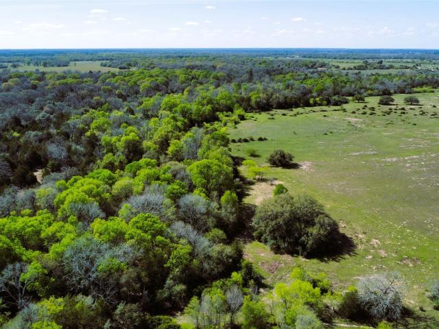 Land for sale in Hallettsville, Texas