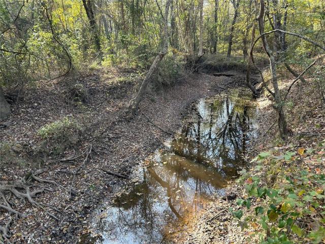 Land for sale in Bogata, Texas