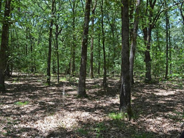 Land for sale in Lamar, Texas